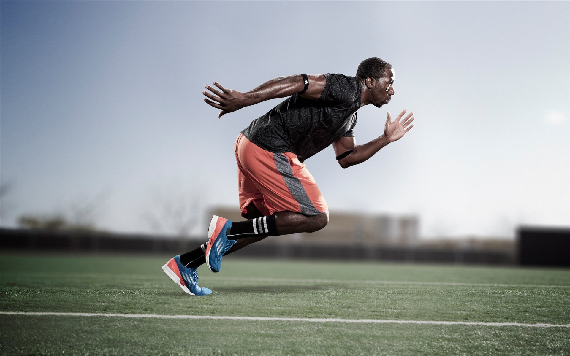 曼联布莱顿在线直播