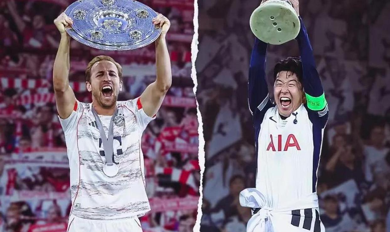 多特蒙德球员伤病情况