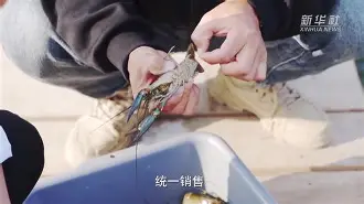 江苏省委宣传部理论之光