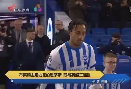 开元棋牌-埃弗顿对布莱顿的比赛